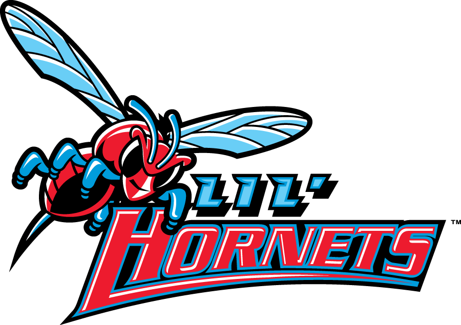 Delaware State Hornets 2004-Pres Misc Logo iron on transfers for T-shirts